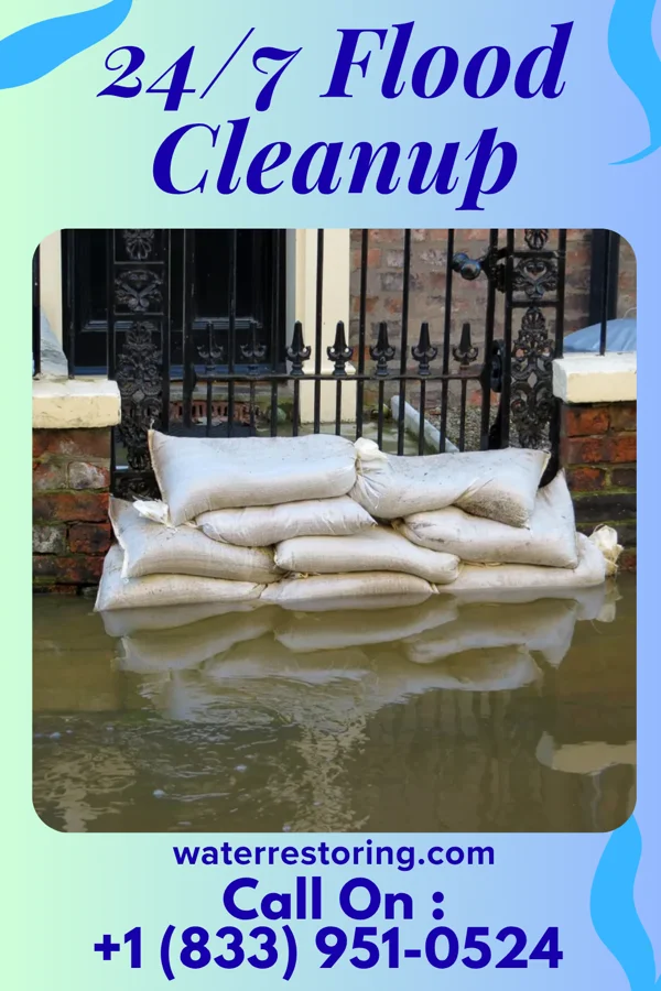 24/7 Flood Cleanup in Hayti Heights, MO