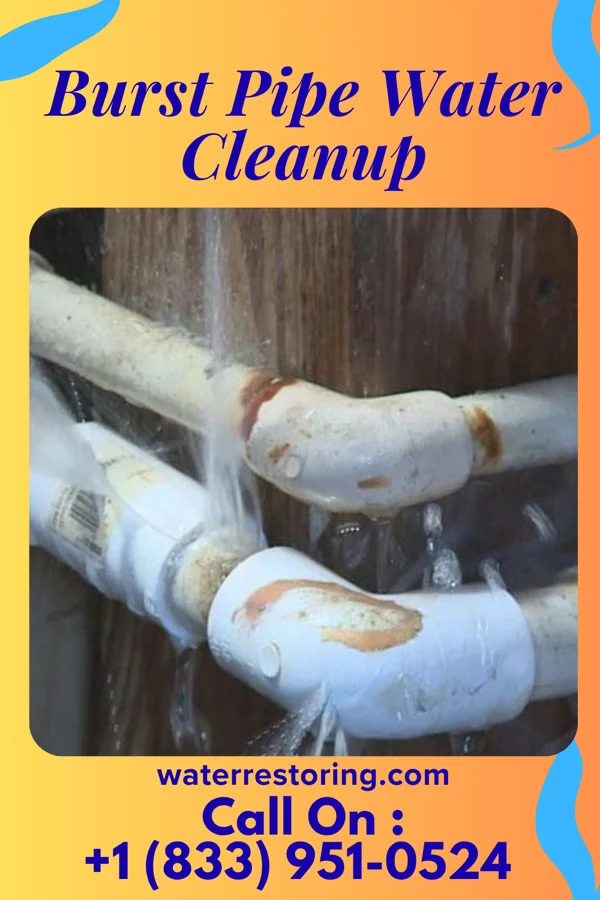 Burst Pipe Water Cleanup in Hayti Heights, MO