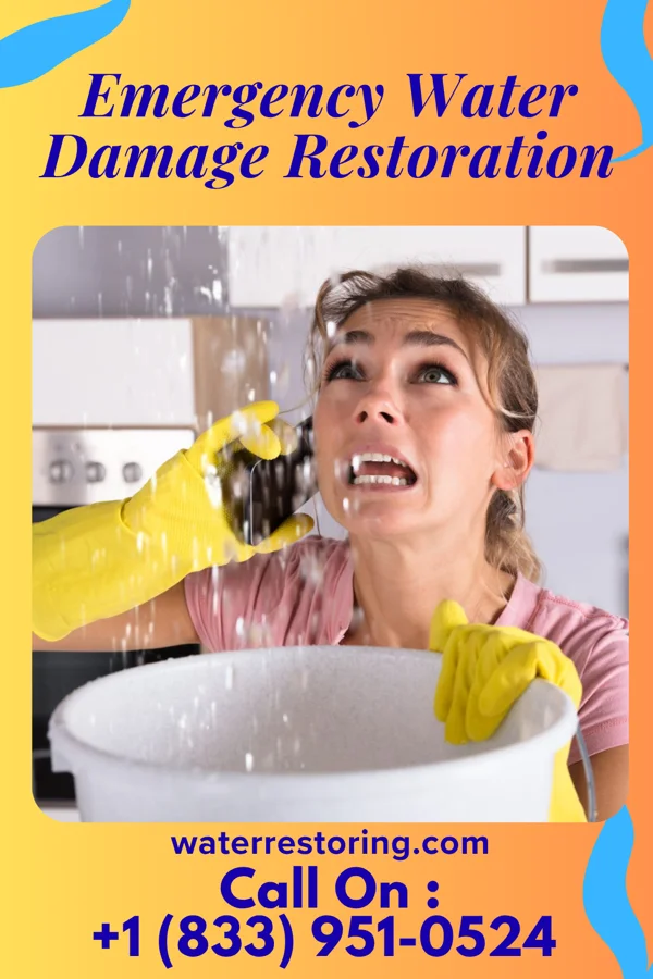 Emergency Water Damage Restoration in Hayti Heights, MO
