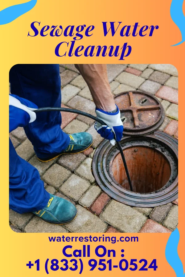 Sewage Water Cleanup in Hayti Heights, MO