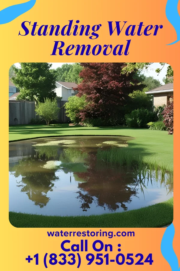 Standing Water Removal in Hayti Heights, MO